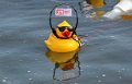 Maschsee13   668